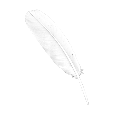 A feather to symbolize lightness.